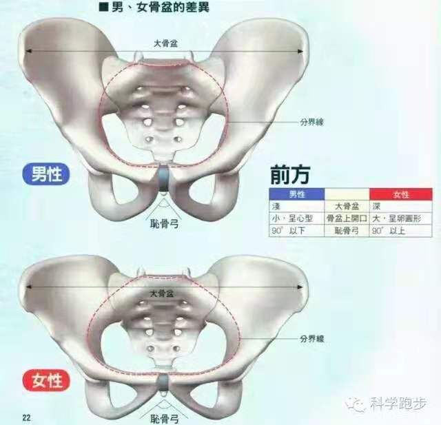 怎么真正有效改善假胯宽,假胯宽矫正的正确方法私教