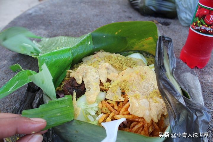 苏里南是荷兰的殖民地吗,南美洲的官方语言是什么
