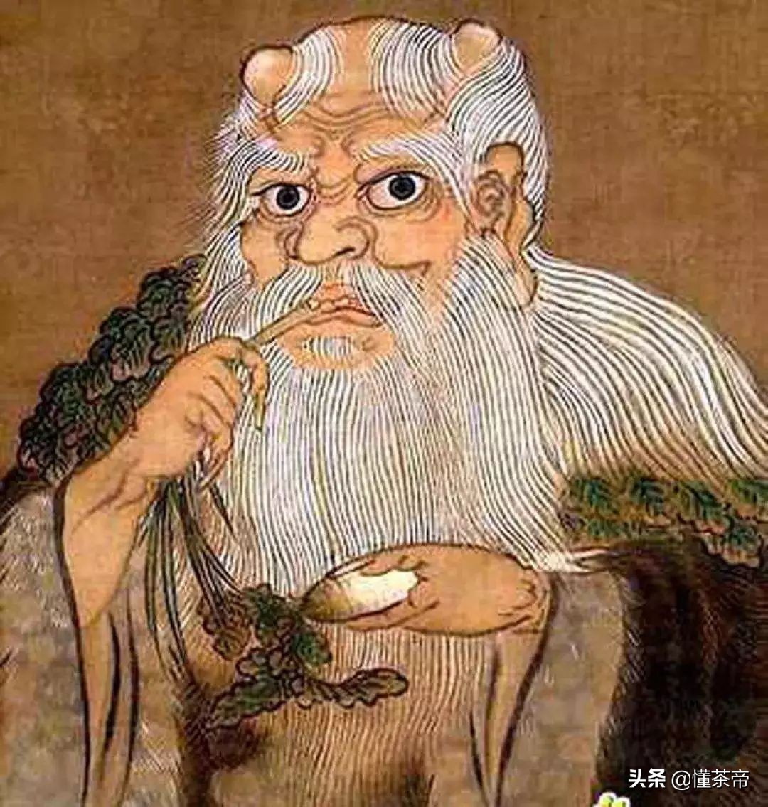 你知道吗茶最早是用来吃的,看完才知道很多茶不能乱喝