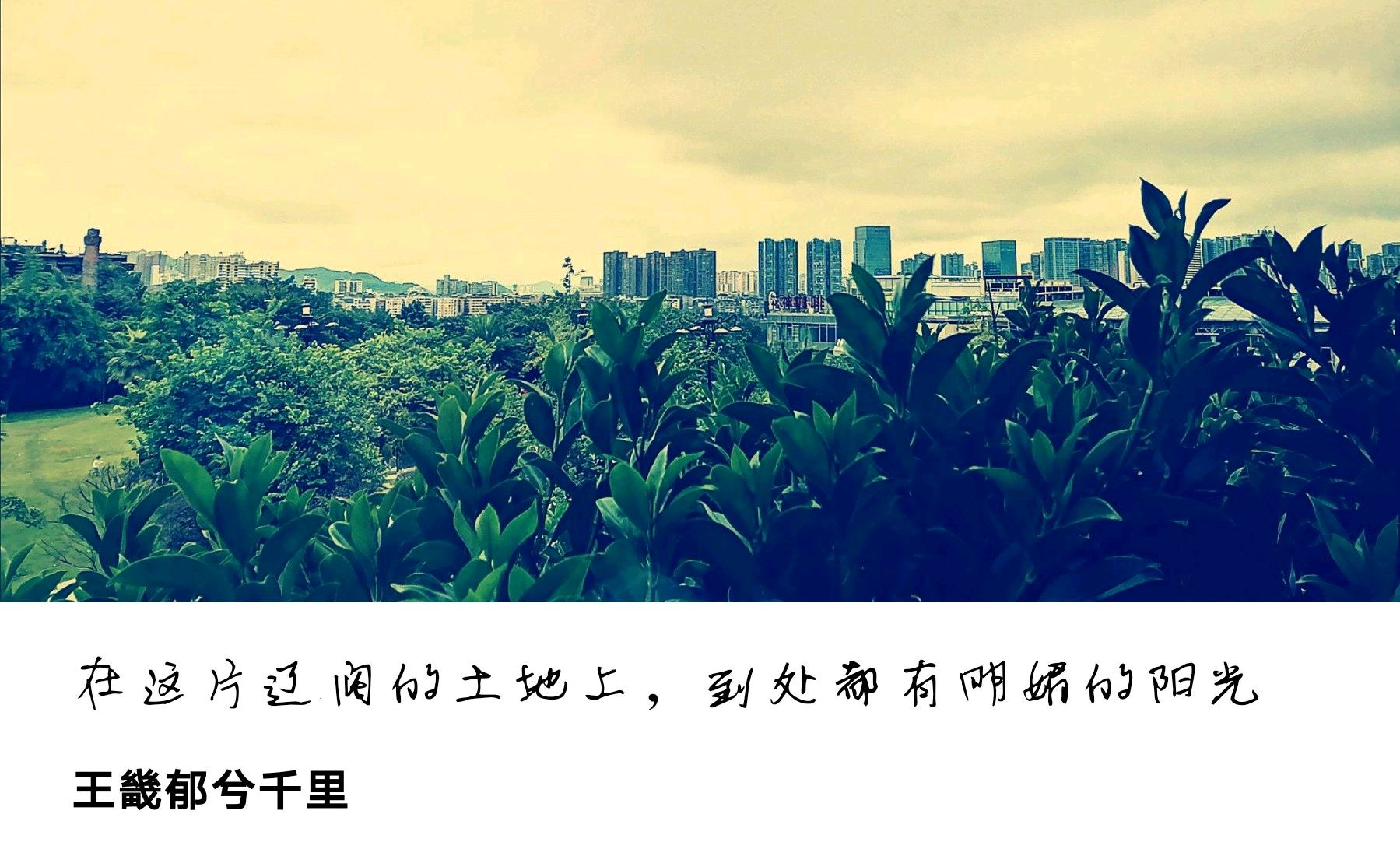 汕头潮阳潮南区规划,汕头市潮阳区对比潮南区