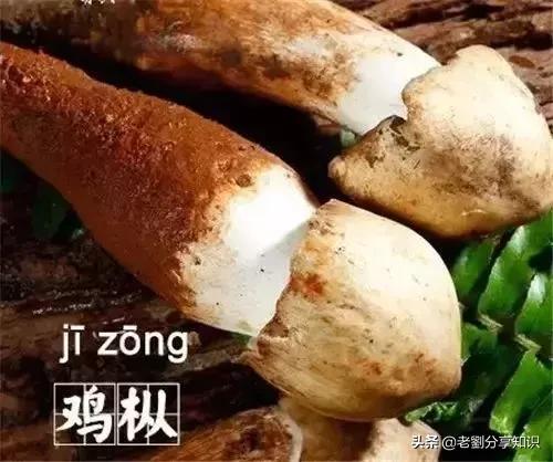 假期里的美食,假期好多好吃的东西