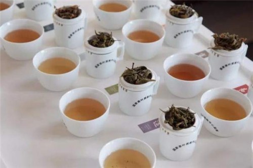 时光大师大红袍茶叶,时光大师茶叶品质怎么样