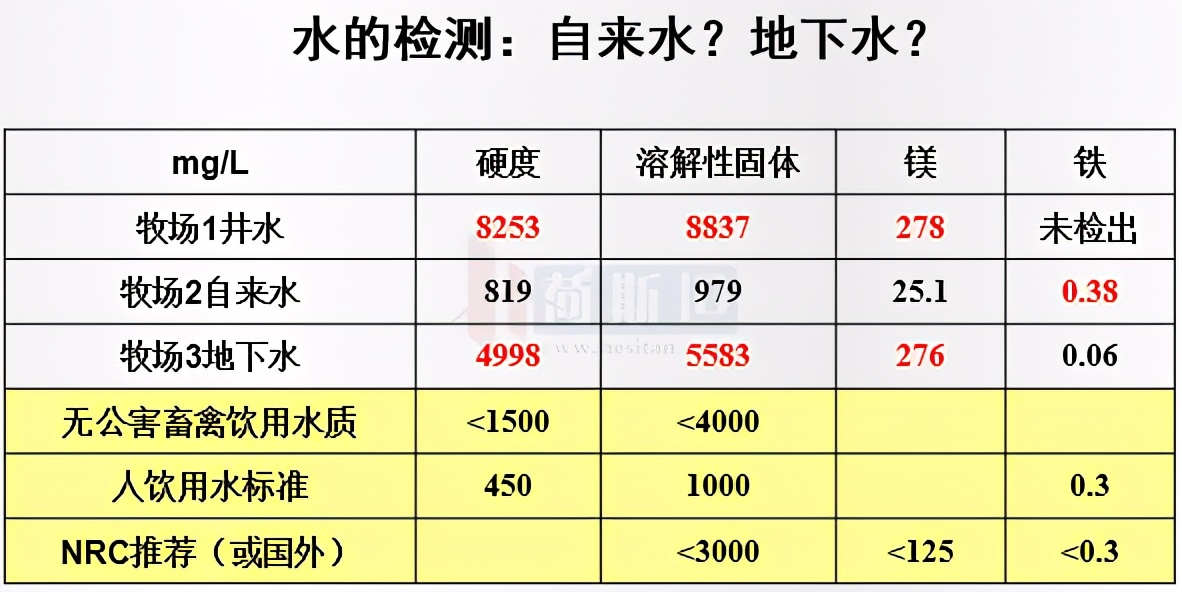 苏衍菁：牧场牛群应激防控管理与实践