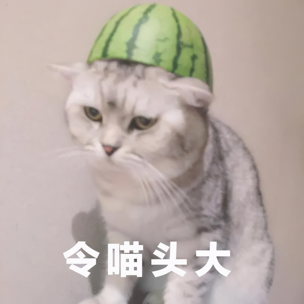 祖玛珑照片,祖玛珑吐槽