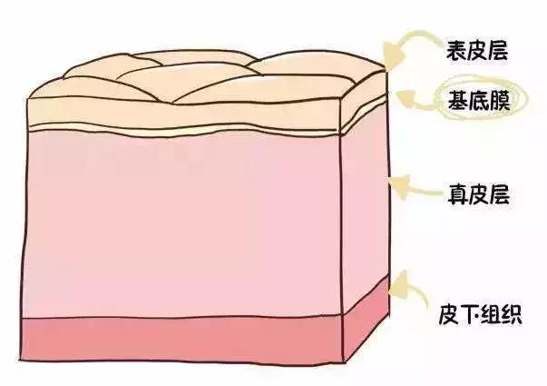 产后刀口又痒又痛的原因居然是这个？