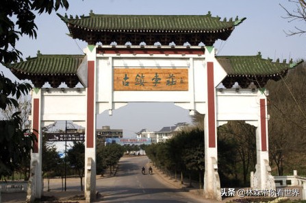 林森完整版免费观看,林森完整视频