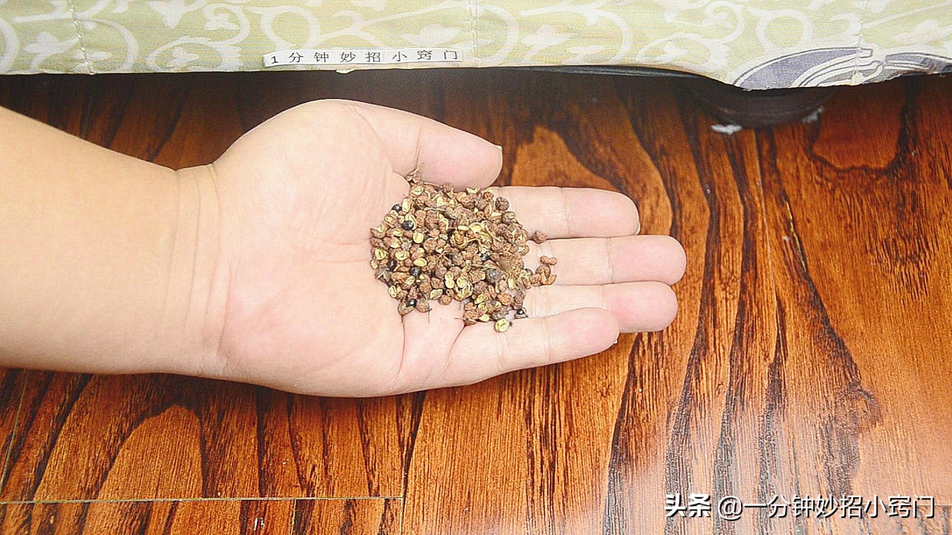 在床底放一把花椒作用太强大了,花椒放在床底有什么好处