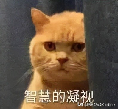 顶级镶钻手表爱彼,顶级手表爱彼