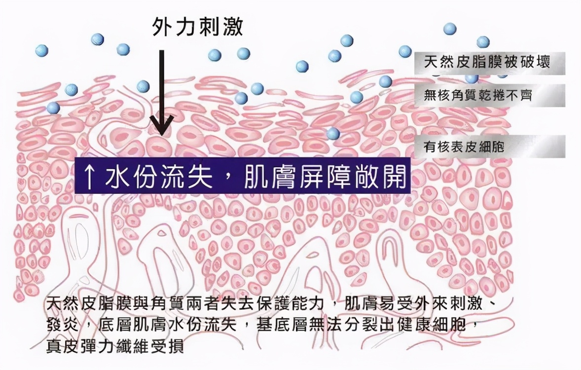 不要以油养肤,防止被忽悠注意事项