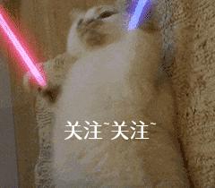 短腿柯基怎么保养好看呢,短腿柯基的养殖前景如何
