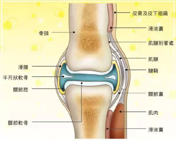 中医治疗膝关节炎,张景明治疗膝关节炎