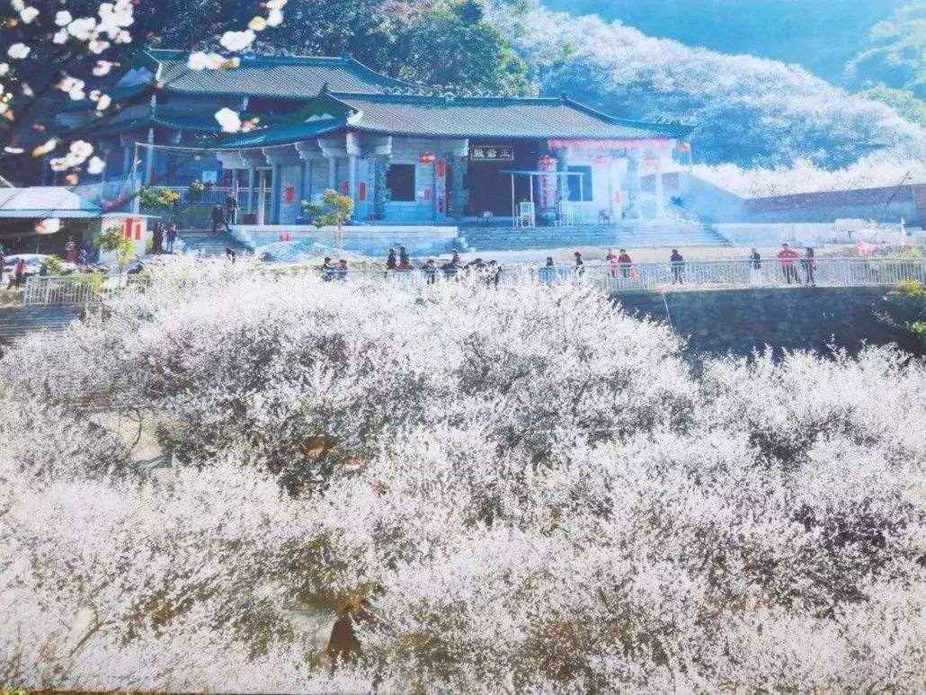 广东四会奇石河生态温泉景区,广东肇庆七星岩景区旅游攻略