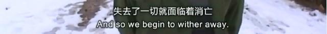顾桃专访,顾桃访谈
