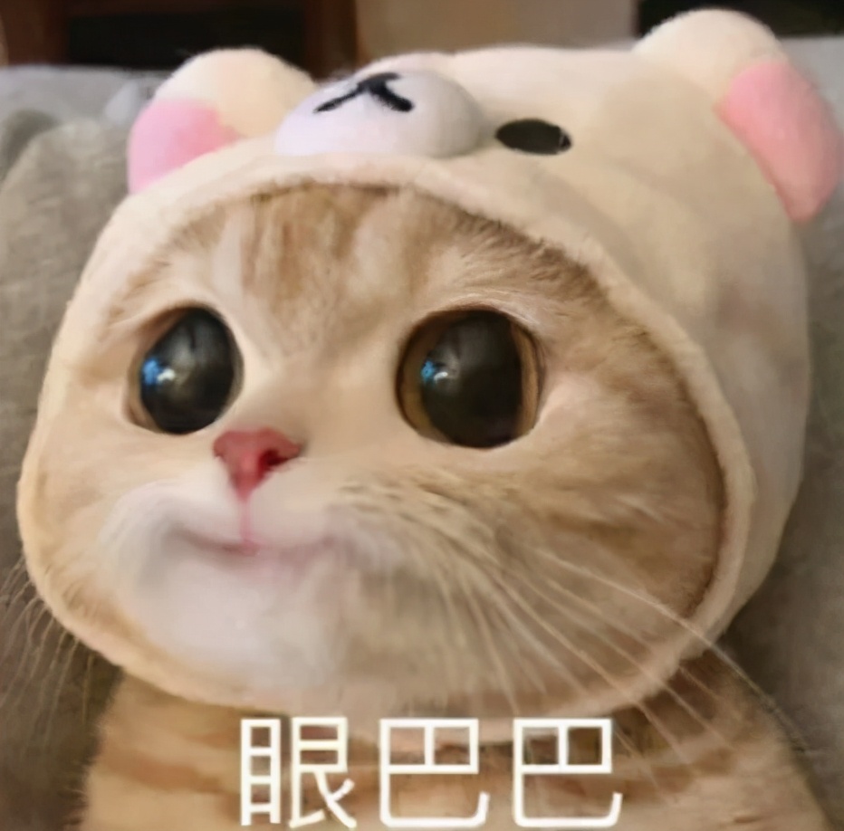 缺考需要停考一年吗,缺考会被记录吗