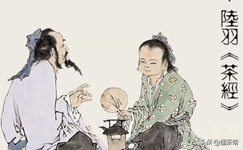 你知道吗茶最早是用来吃的,看完才知道很多茶不能乱喝