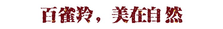 鍗佸ぇ鑹績鍥借揣蹇呬拱,鍗佸ぇ琚綆浼扮殑鍥借揣