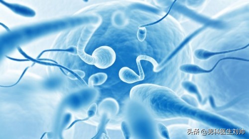 精子会寄生细菌吗,精子多种细菌混合生长