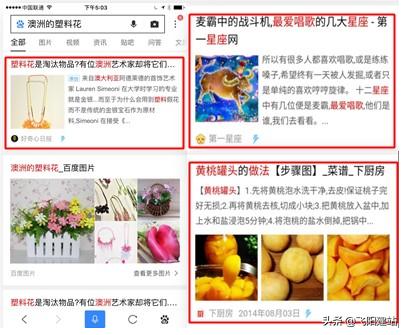 网站优化网站图片制作教程,揭秘网站图片快速收录的四种方法