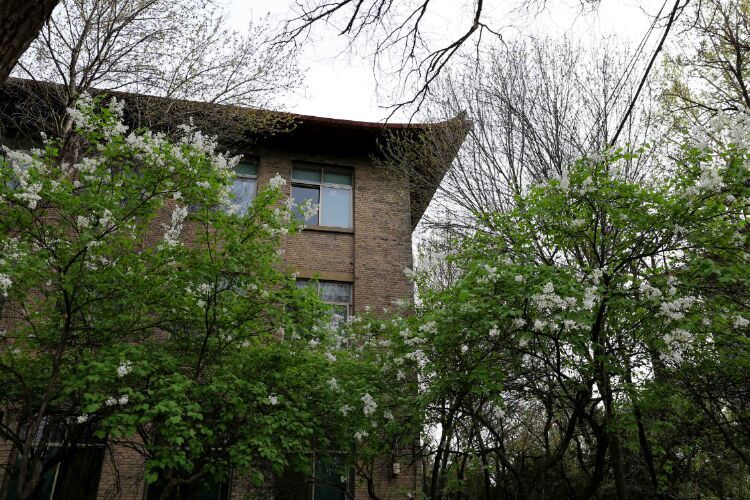 百年山东看青岛千年齐鲁逛青州,山东大学趵突泉景区