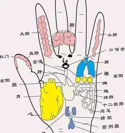 人体腋窝内补血养心穴位,人体各部位反射区图