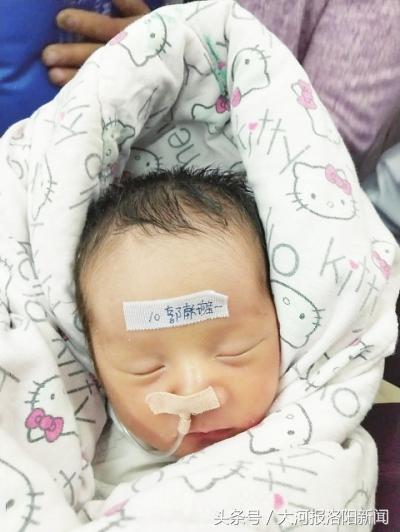 天津港牺牲的消防员被评为烈士吗,牺牲在天津港的消防员