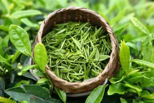 鑼朵腑缇庝汉鏄粈涔堣尪,鑼朵腑缇庝汉鐧芥閾堕拡鍥剧墖