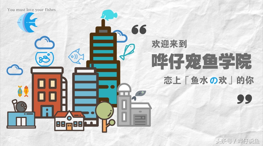 龙鱼三湖慈鲷混养大型缸,养三湖慈鲷的鱼缸选择