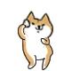 铲屎官需要准备什么东西,成都温江犬证办理流程