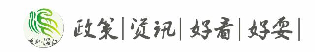 铲屎官需要准备什么东西,成都温江犬证办理流程