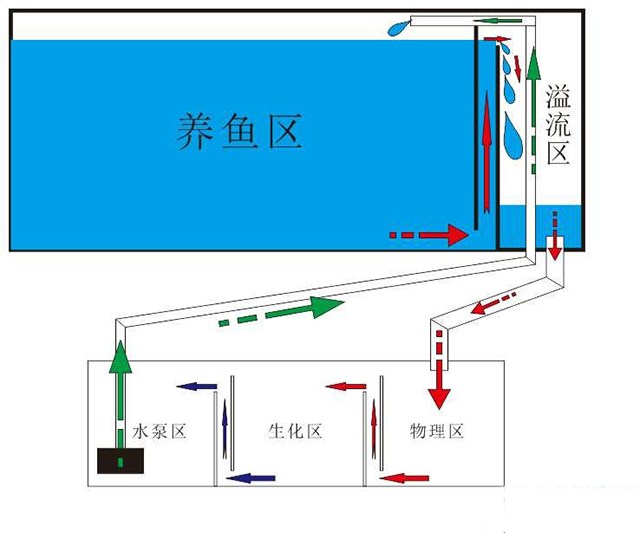 鱼缸底滤原理详细讲解,底滤鱼缸工作原理及配套配件