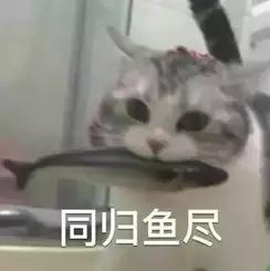 女明星在微整之前，医生会先告知哪些秘密？