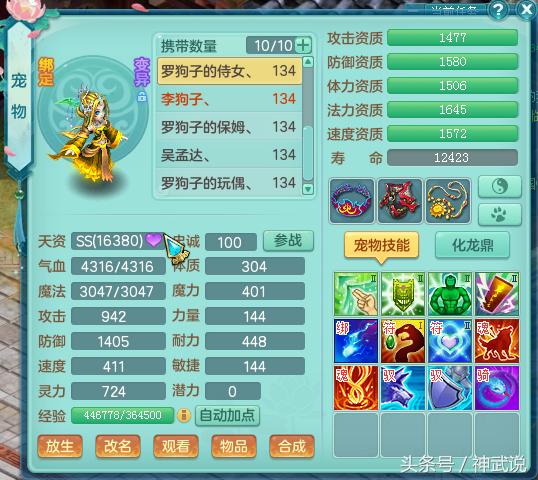神武3,神武3的99级天宫