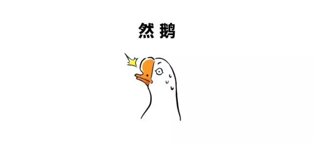 最长奇葩名字,那些奇葩名字看一遍笑一遍