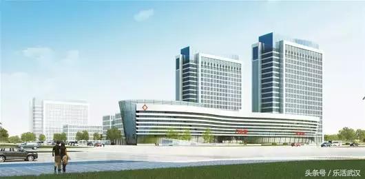 武汉最好的医院是哪家医院,武汉同济医院和协和医院哪个更好