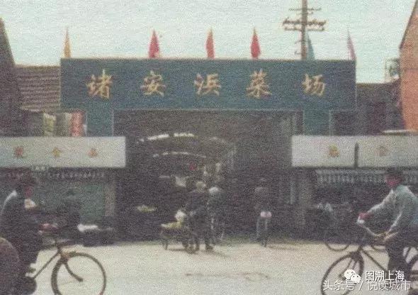 悦读城市,悦读城市完整版