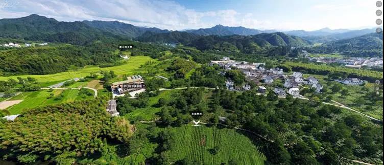 千人研学团黄山旅行,研学旅行去黄山一般干嘛