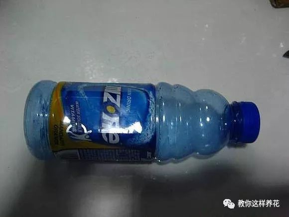 塑料瓶自制免浇水的花盆方法,自吸水免浇水懒人花盆