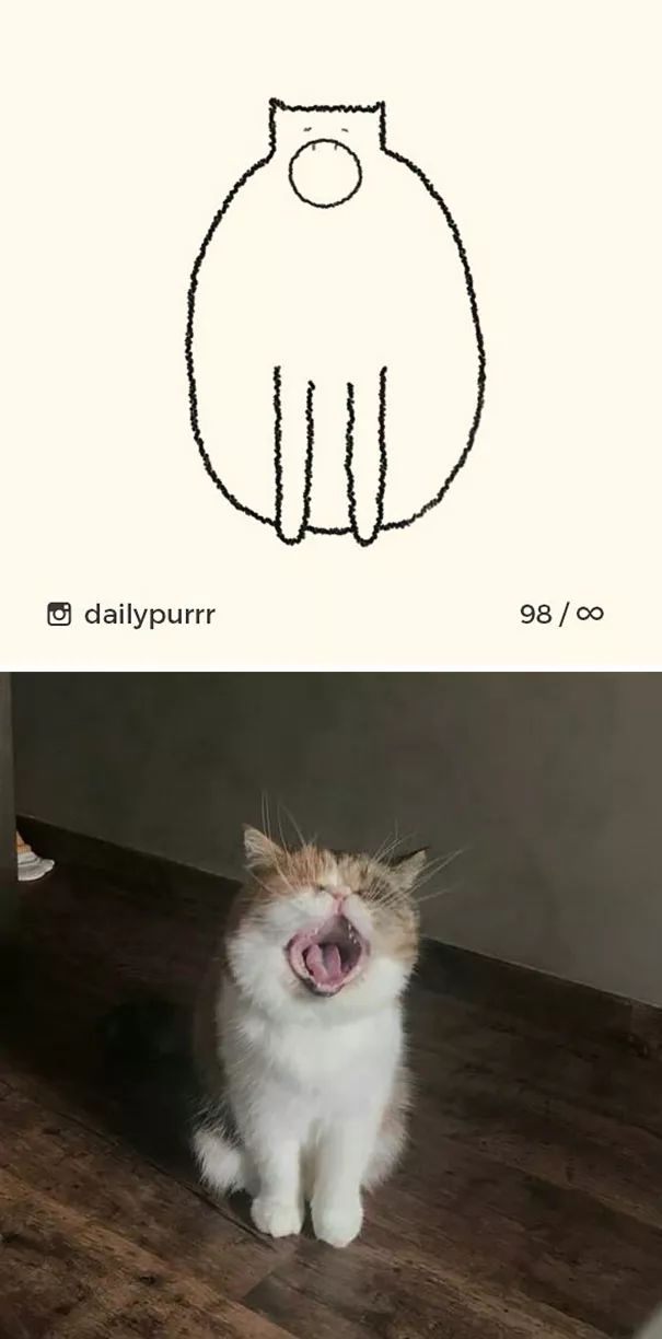 关于猫的肖像画,猫各种形态的影子画