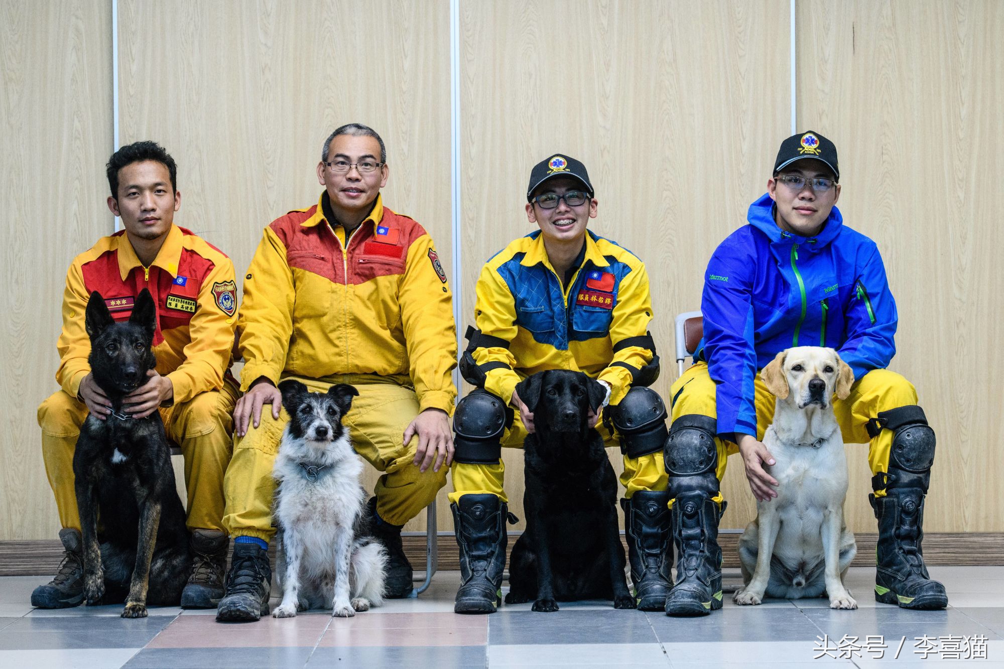 搜救犬英勇牺牲致敬忠诚战士,盘点那些搜救犬救人的感人瞬间