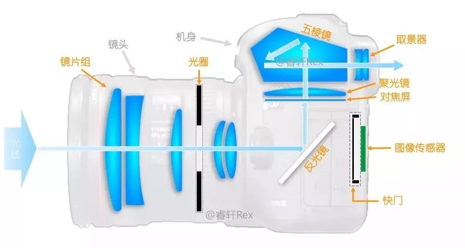 大个头的大智慧！来聊聊什么是单反