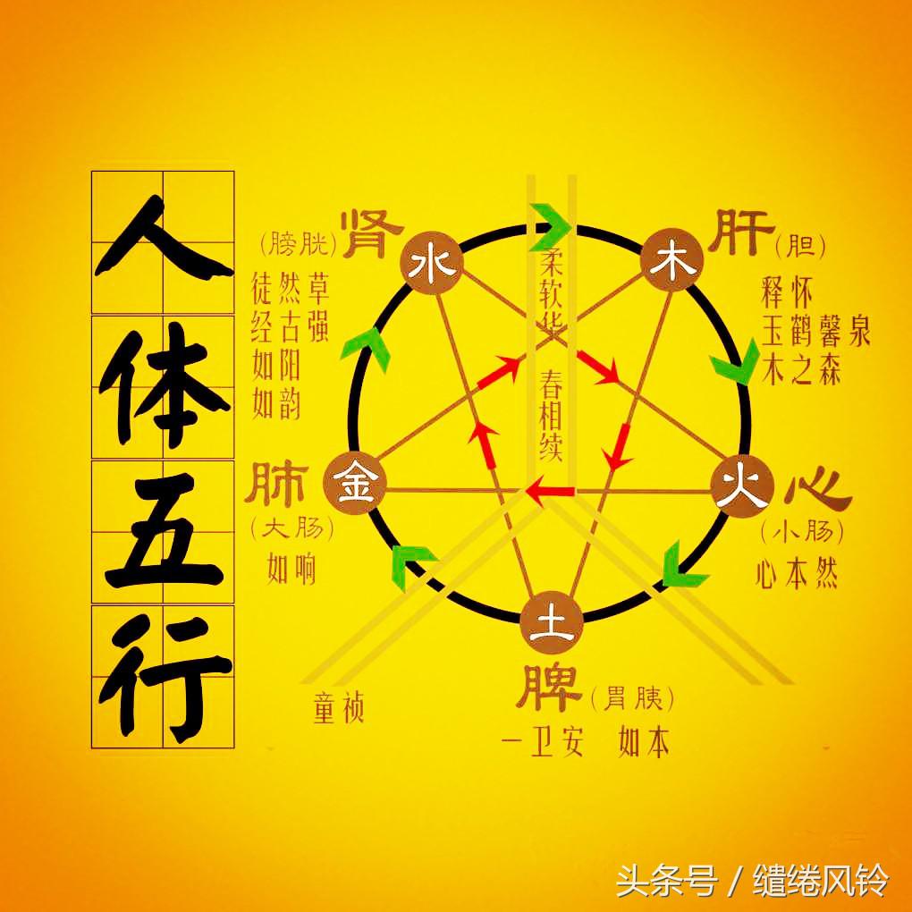 《五行》相生相克：天有五行，水火金木土，分时化育，以成万物！