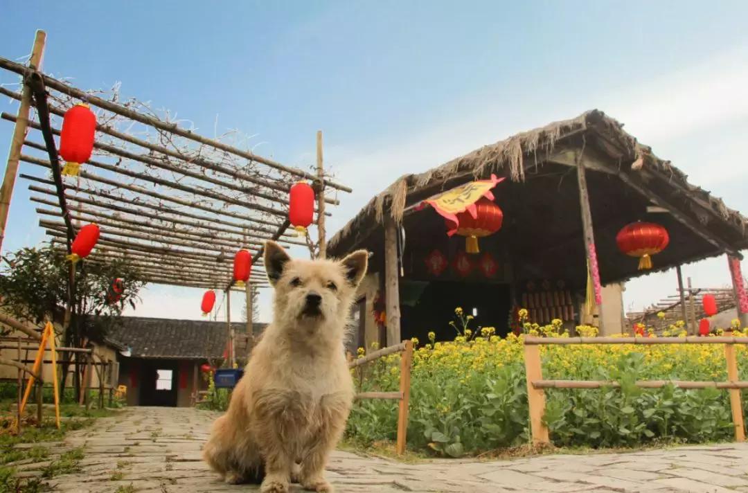嘉兴西塘旁边还有什么好玩的地方,乌镇和西塘都在嘉兴吗