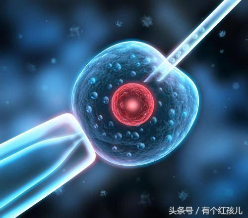 试管婴儿手术怎么做的,试管婴儿手术要注意什么