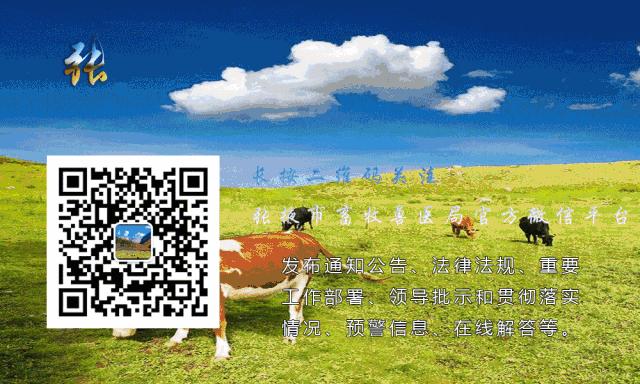羊疥螨病的治疗方法,羊的疥癣怎么预防