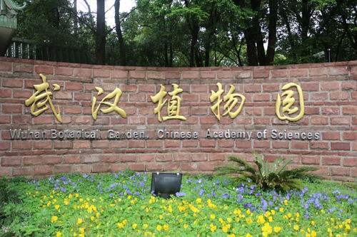 遛娃圣地武汉,武汉室内溜娃攻略