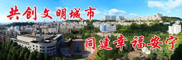 安宁太平中学,安宁中学太平新校区