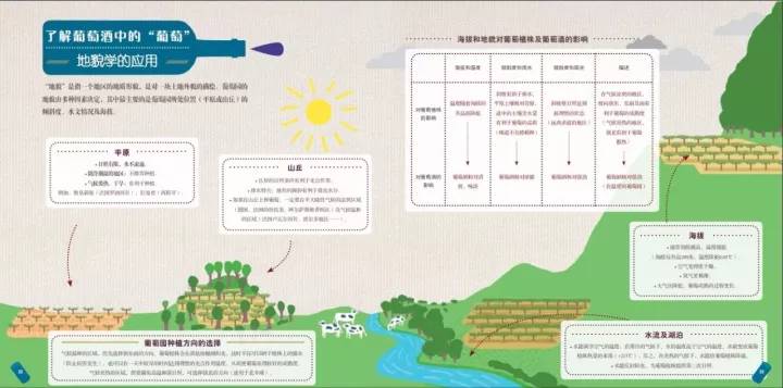 中国红酒厂酿酒全过程,中国红酒酿酒技术