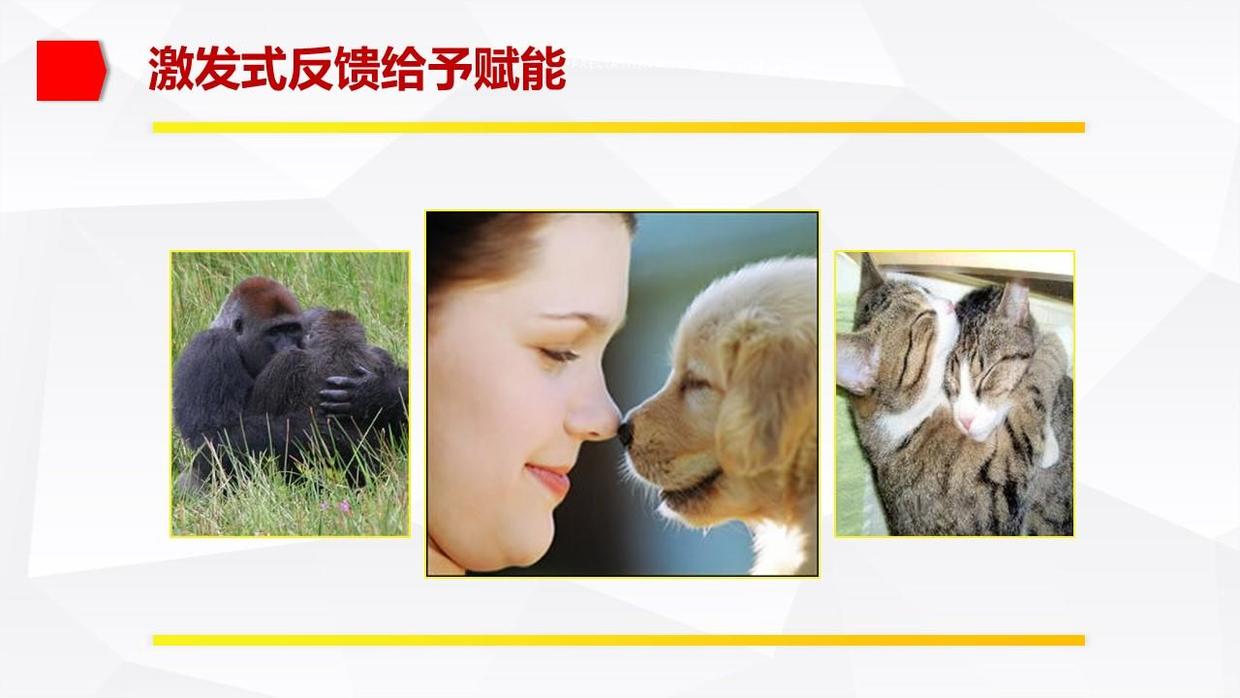 教练技法十四式,教练如何运用建设性回馈技巧