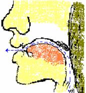 英语元音背诵,英语元音领读