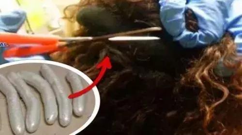 可笑又可怕，为了运毒，他们连小丁丁都不放过
